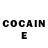 COCAIN Fish Scale FL1XSE